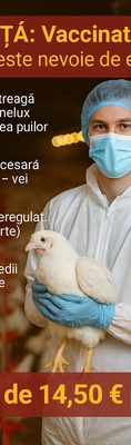 job-image