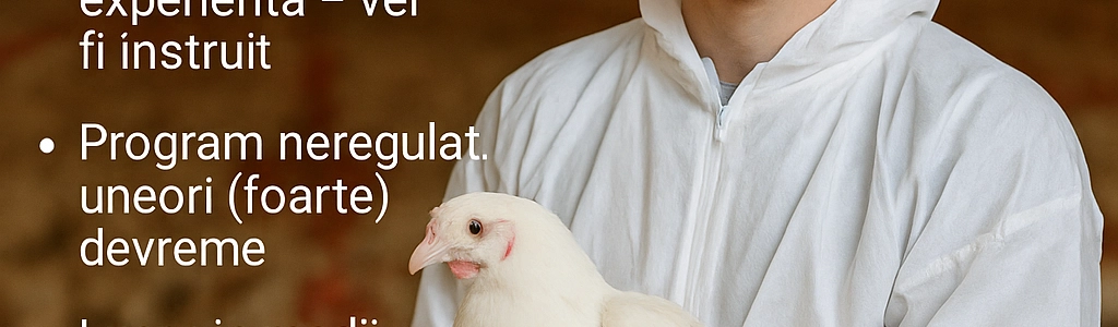 cover-image