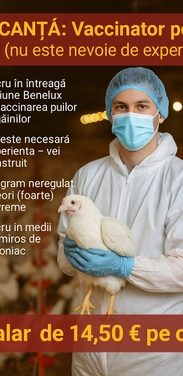 job-image