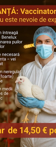 job-image